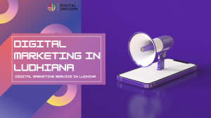 Digital Unicorn,digital marketing,Ludhiana,SEO,PPC