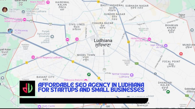 Affordable SEO Agency in Ludhiana for Startups and Small Businesses