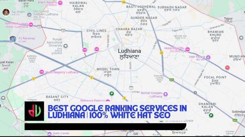 Best Google Ranking Services in Ludhiana | 100% White Hat SEO
