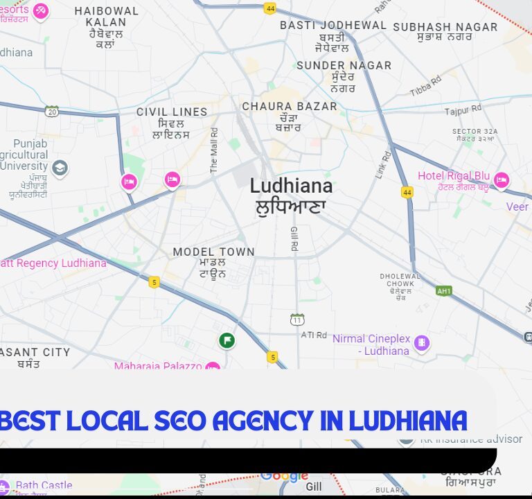 SEO Agencies in Ludhiana for E-commerce Websites