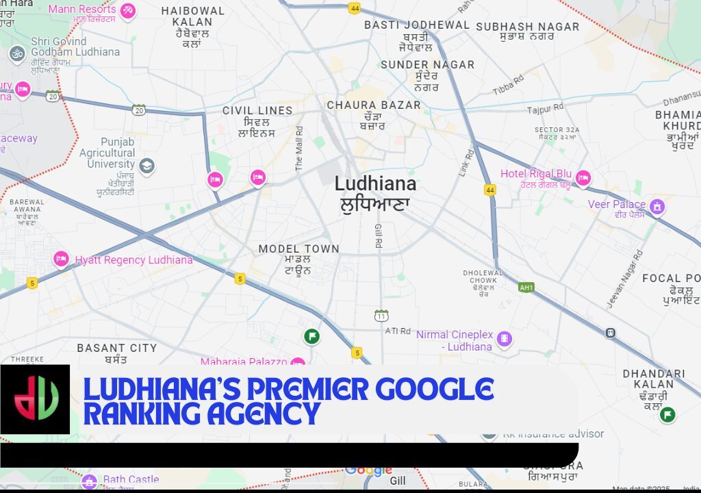 Ludhiana's Premier Google Ranking Agency