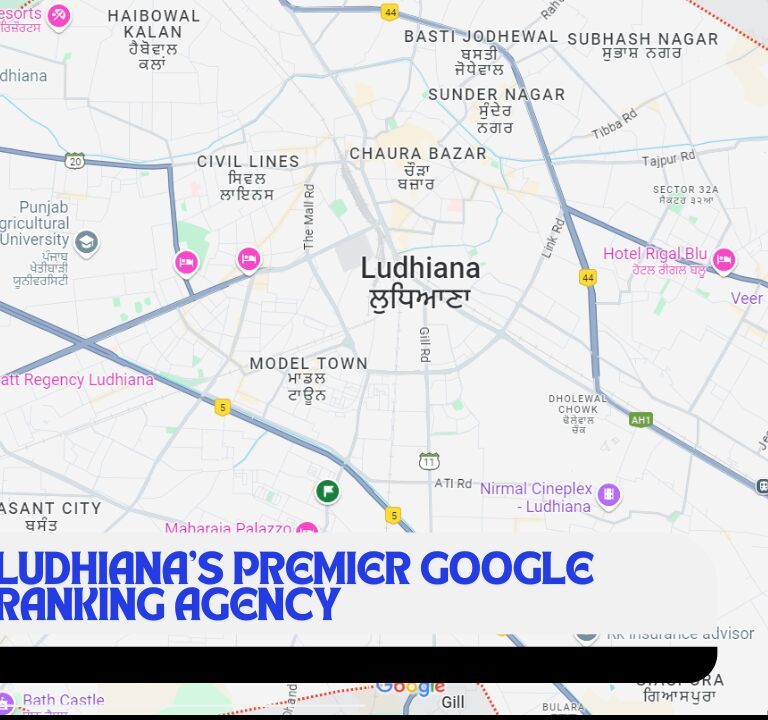 Ludhiana's Premier Google Ranking Agency