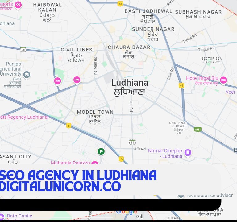 SEO Agency in Ludhiana, SEO AGENCY IN PUNJAB