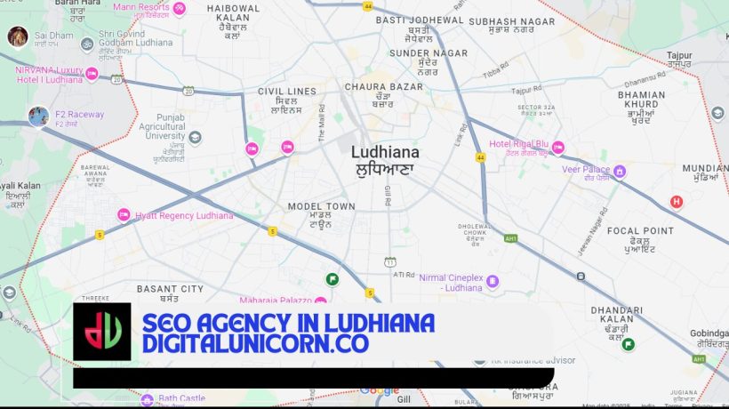  How an SEO Agency in Ludhiana Can Boost Your Rankings