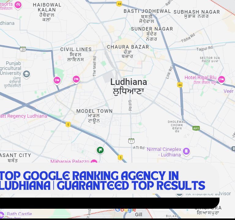 google ranking agency in ludhiana , seo services ludhiana, local seo ludhiana