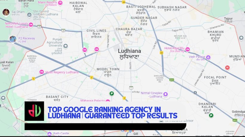 Top Google Ranking Agency in Ludhiana | Guaranteed Top Results