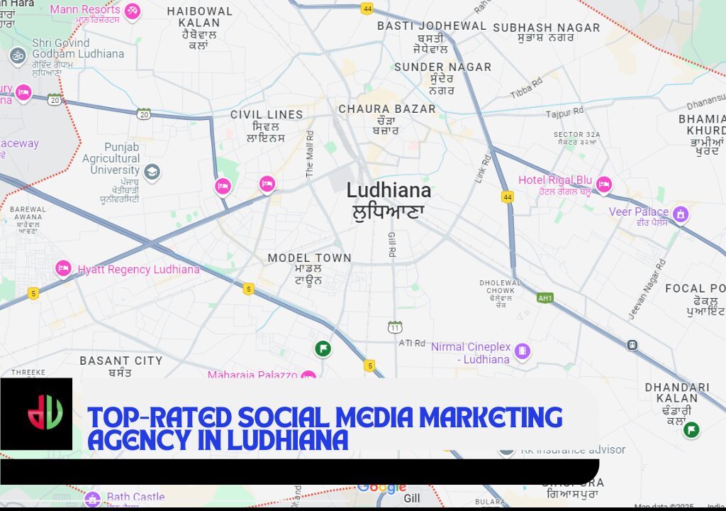 Social Media Marketing Agency in Ludhiana.