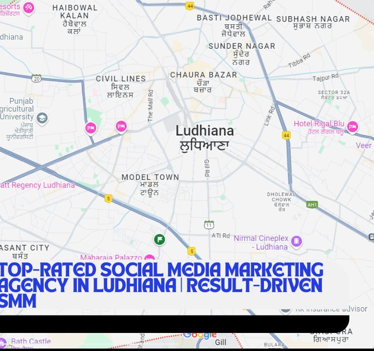 seo agency in ludhiana seo company in ludhiana serarch engine optimization agency in ludhiana serarch engine optimization agency in punjab best seo agency in punjab seo agency in punjab