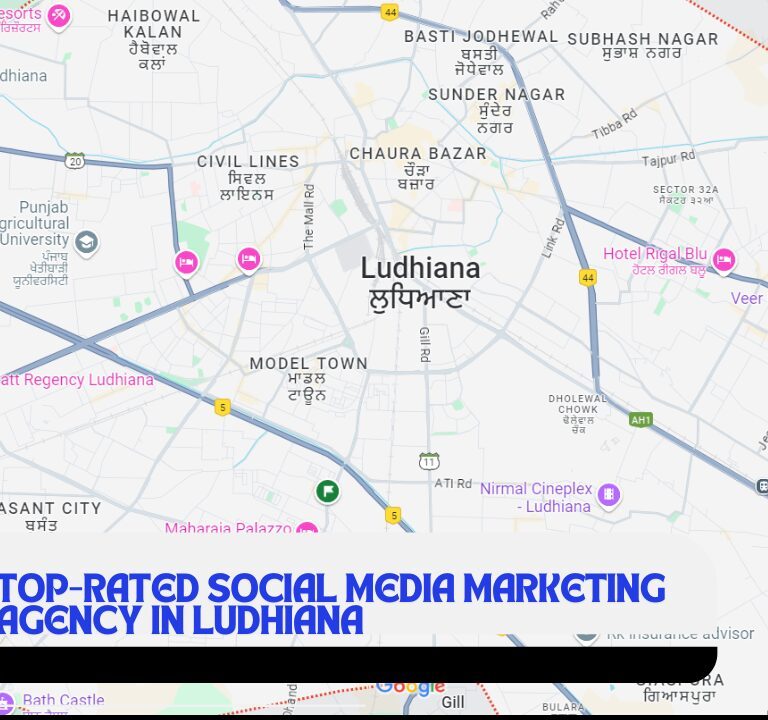Social Media Marketing Agency in Ludhiana.