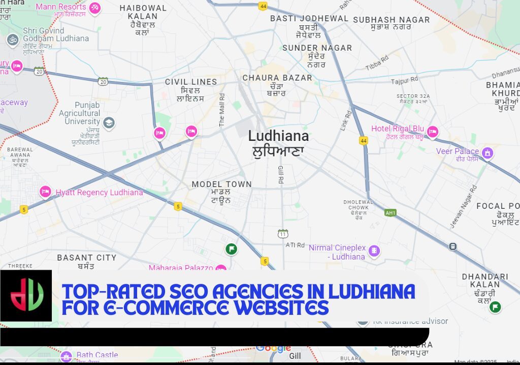 Top-rated SEO Agencies in Ludhiana for E-commerce Websites seo agency in punjab best seo agency in punjab serarch engine optimization agency in punjab