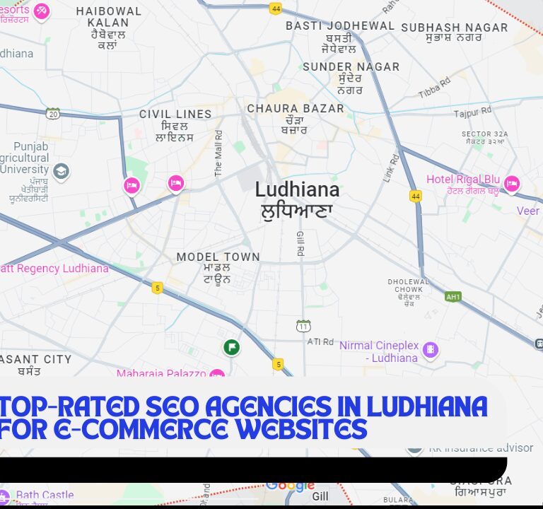Top-rated SEO Agencies in Ludhiana for E-commerce Websites seo agency in punjab best seo agency in punjab serarch engine optimization agency in punjab