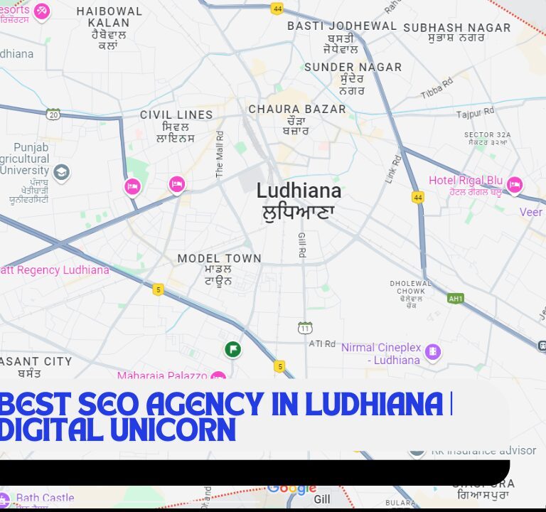 Best SEO Agency in Ludhiana, Digital Unicorn, seo agency in ludhiana, local seo agency in ludhiana