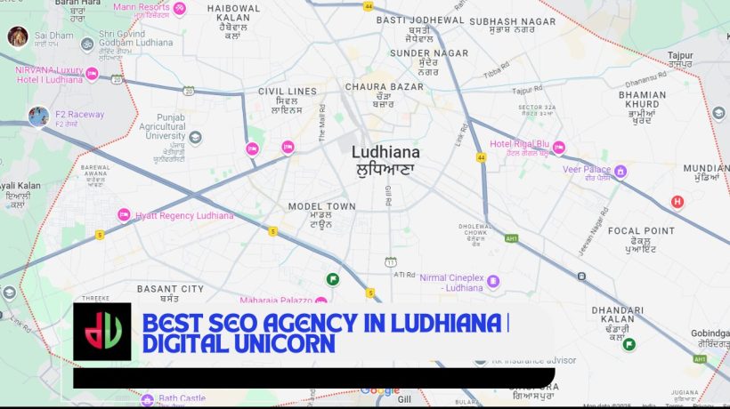  Why You Need the Best SEO Agency in Ludhiana for Growth