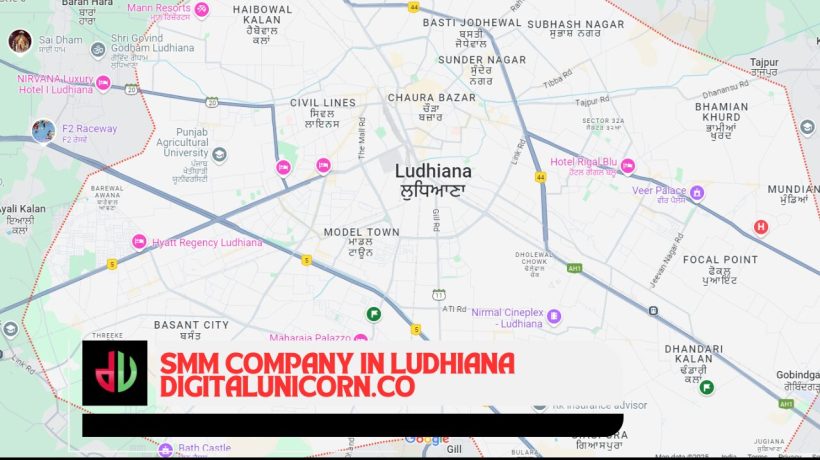 How an SMM Company in Ludhiana Can Drive Social Media Success