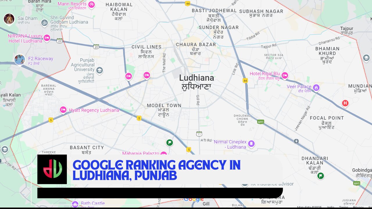 Google ranking agency in Punjab,SEO services in Ludhiana,digital marketing,SEO experts Ludhiana,local SEO,business growth in Ludhiana