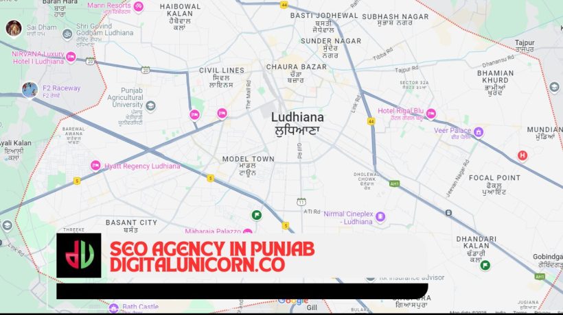 Maximize Your Rankings with a Leading SEO Agency in Punjab