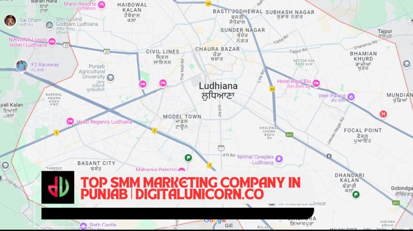 Top SMM Marketing Company in Punjab Driving Results