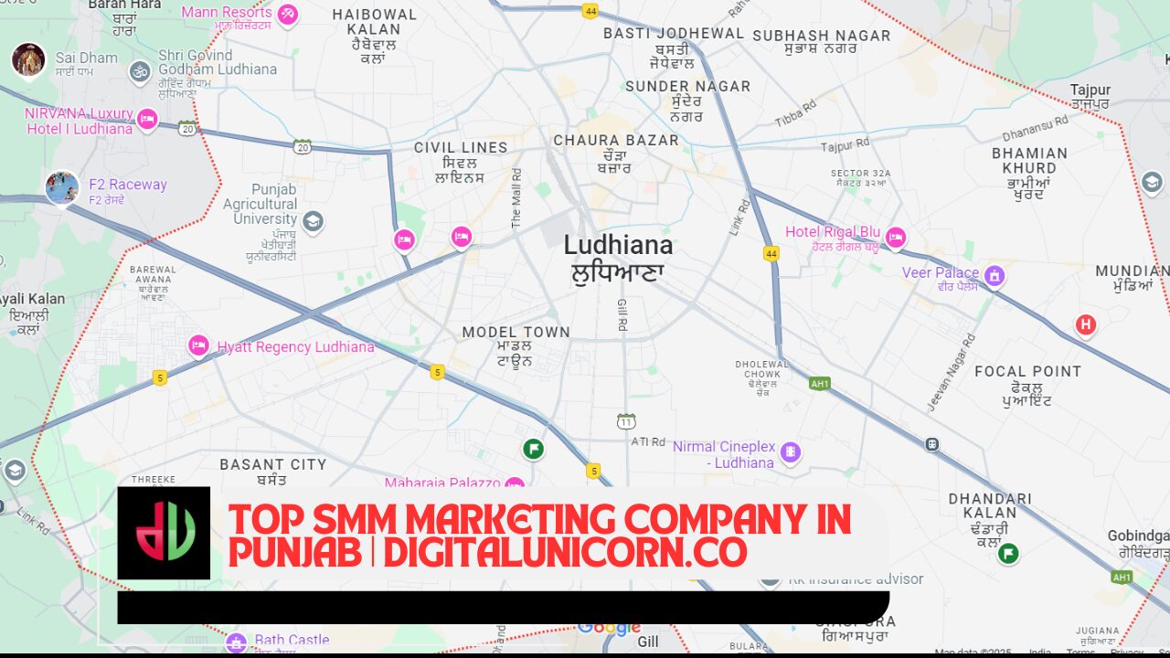 Top SMM Marketing Company in Punjab Driving Results