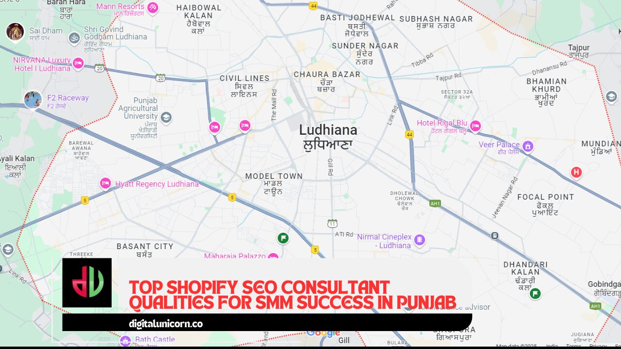 Top Shopify SEO Consultant Qualities for SMM Success in Punjab