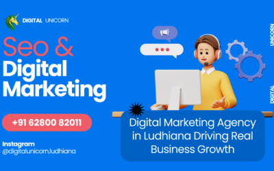 Digital Marketing Agency in Ludhiana Driving Real Business Growth